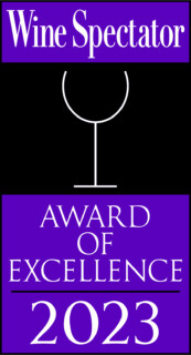 Awardof Excellence2023logo color