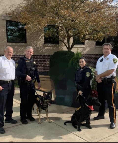 Bucks County K9 Unit and Handler